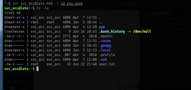 Home directory listing with user.txt